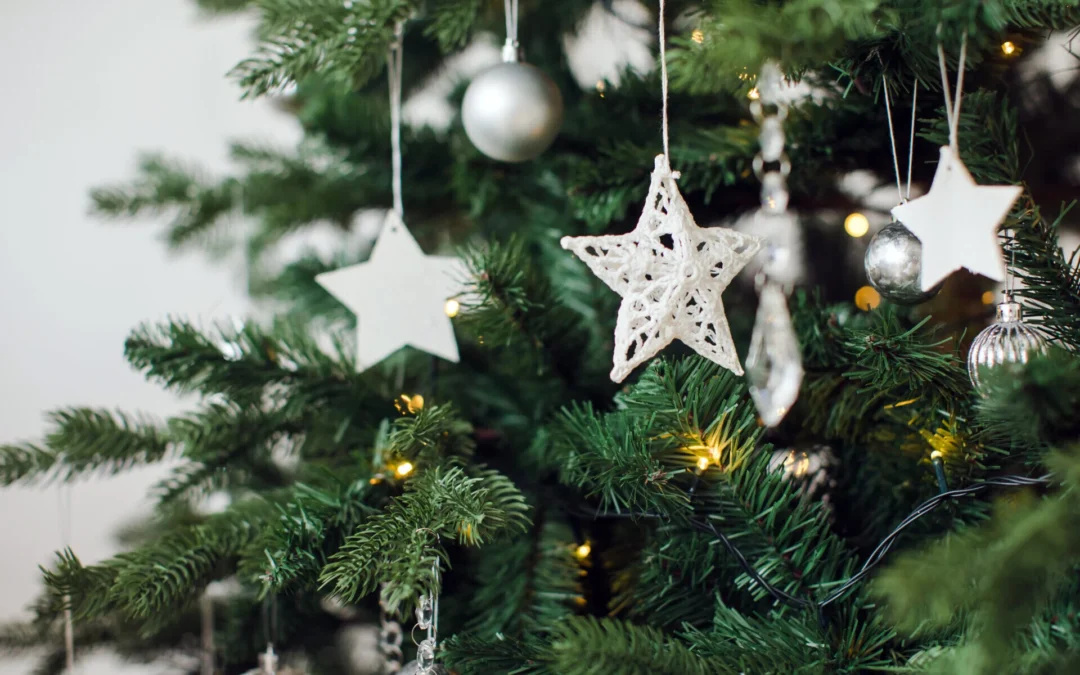 Arbre de Noël École des 9 écluses